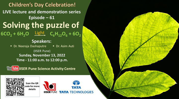 Solving the Puzzle of Photosynthesis