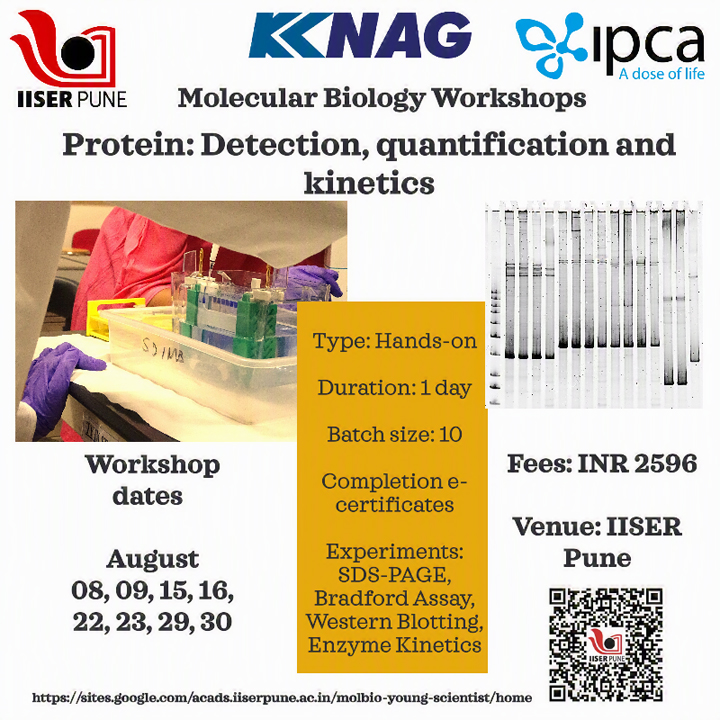 Flyer of Molecular Biology Workshops on 'Protein: Detection, Quantification and Kinetics'