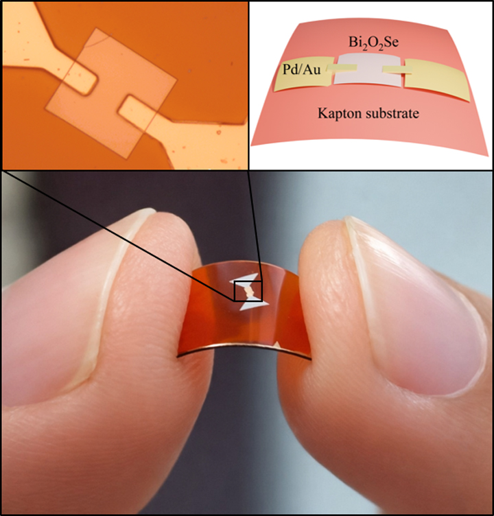 Image has 3 panels. Top panels show a schematic and the bottom panel shows about a 2 cm long curved sheet (device) held between two fingers 