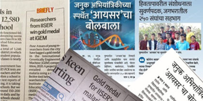 A collage of news clippings