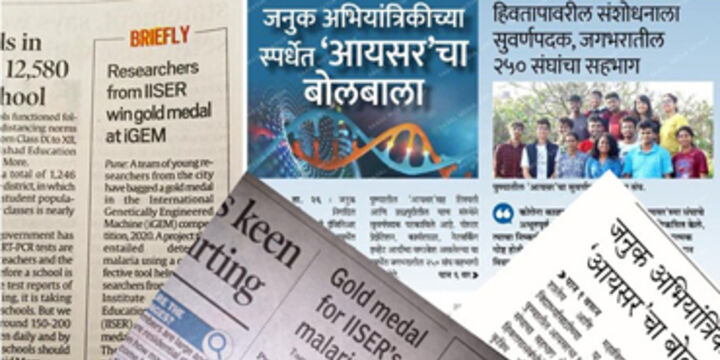 A collage of news clippings