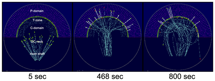 Athale2 Data low res