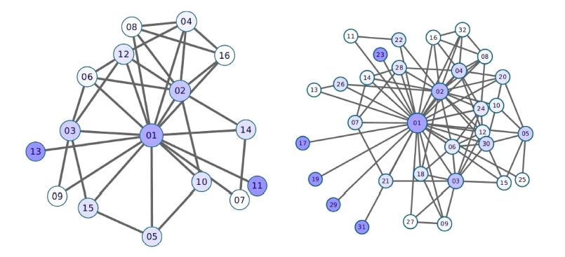 Complex networks highlight