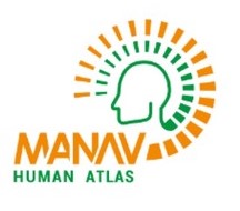 Manav