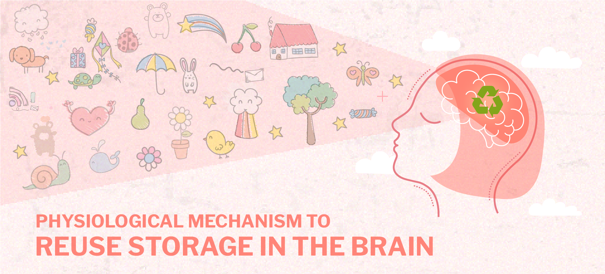 Neuroplasticity